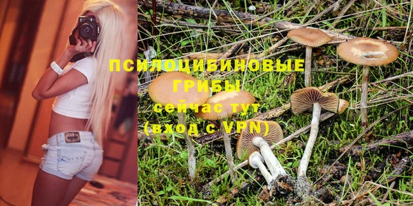 мяу мяу мука Дубна