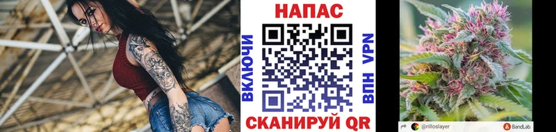 shop состав  Колпашево  Марихуана VHQ 